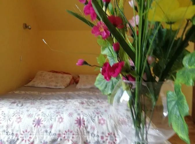 Privat bolig U Kasprow